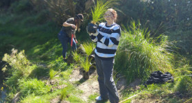Planting 1
