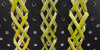 Tukutuku