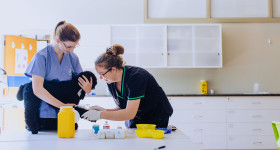 Vet Nursing Header
